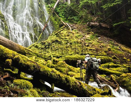 Photographer standing in the water below a waterfall in a lush green Pacific Northwest location. Proxy Falls Oregon USA.