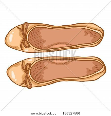 Vector Cartoon Illustration - Pair Of Women Ballet Flats. Top View