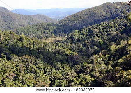 Amazing View In Kondalilla National Park