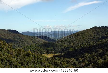 Amazing View In Kondalilla National Park