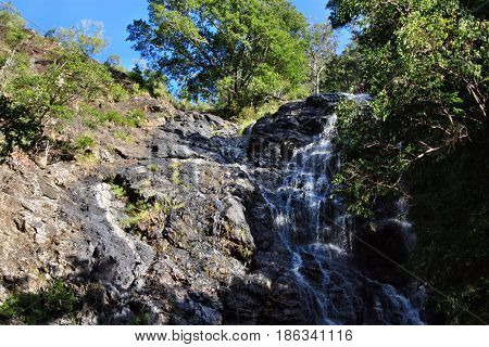 Waterfall In Kondalilla National Park