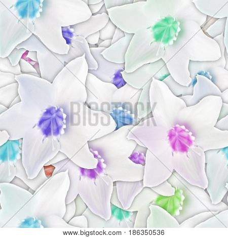Colorful background with drimiopsis flower. Seamless pattern.