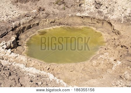 yellow-green mud puddles in sand in day