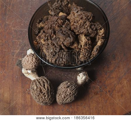 Morel fungus boiled ready for frying close up