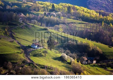 Beautiful wild mountain hills Holbav, Brasov, Romania