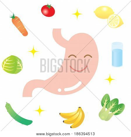 eating fruits and vegetables, drinking water keep a stomach healthy