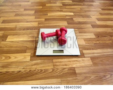 Two red dumbbells lie on the gray electronic scales. It's a hint that it's time to lose weight