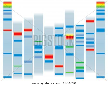 DNA chiaro