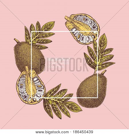 Engraved botanical sketch. Vintage jack fruit design. Tropical plant frame.Gold Wedding template