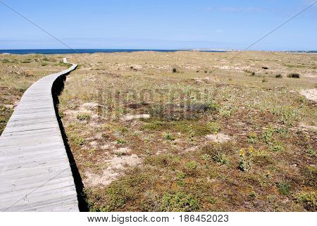 wooden boardwalk in reserve in north of spain