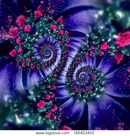 Red violet magenta camomile daisy flower double spiral abstract fractal effect pattern background. Floral spiral abstract pattern fractal. Incredible magenta flowers pattern spirally background