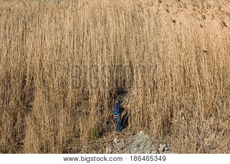 Cute little boy walking in tall dry grass at cloudy autumn day.
