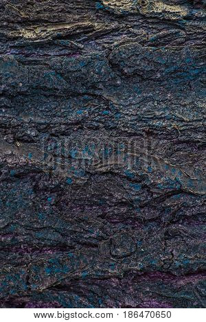 Old Wood Tree Trunk Textured Pattern