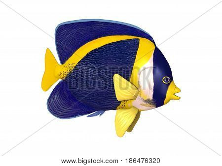 3D Rendering Scribbled Angelfish On White