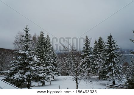 Winter evening twilight near Mavrovo lake in Macedonian republic, dark fir trees