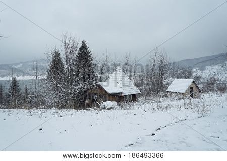Small houses in winter near Mavrovo lake in Macedonian republic, fir trees