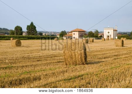 Rouleaux de foin