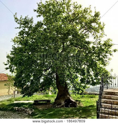 Historical Kastle of Kruje in Albania
