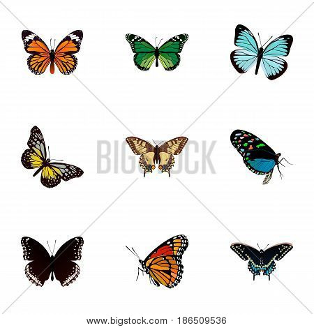 Realistic Hairstreak, Milkweed, Lexias And Other Vector Elements. Set Of Beautiful Realistic Symbols Also Includes Blue, Tiger, Moth Objects.