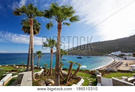 Panorama in Mykonos Cyclades Greece. Palm trees in foreground