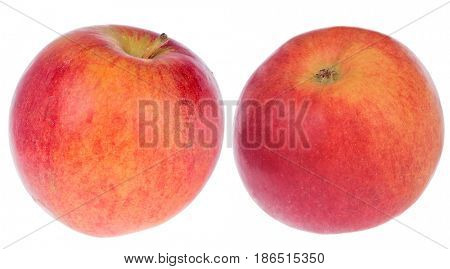 Idared apples isolated on white background