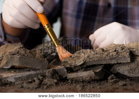 Archeologist working late night in office