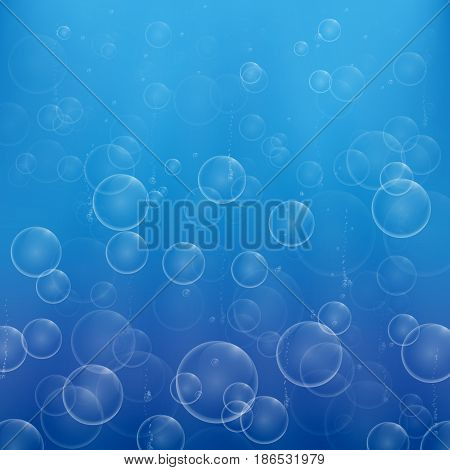 soap bubbles in the light rays of the shining rise up