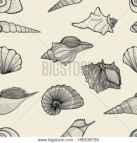 seamless pattern background of seashells. vector illustration