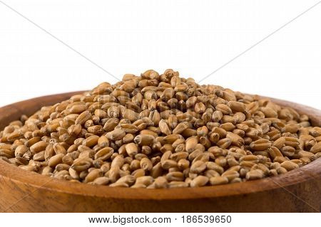 Wheat Grain In Bowl