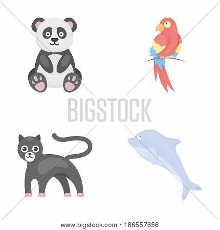 Panda.popugay, panther, dolphin.Animal set collection icons in cartoon style vector symbol stock illustration .