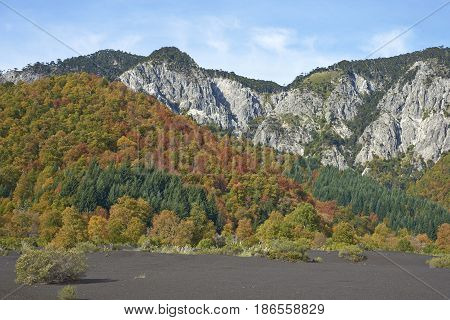 Trees covered in colourful autumn foliage rising out of the lava fields in Conguillio National Park in the Araucania region of Chile