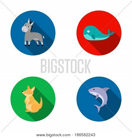 Donkey, whale, kangaroo, shark.Animal set collection icons in flat style vector symbol stock illustration .