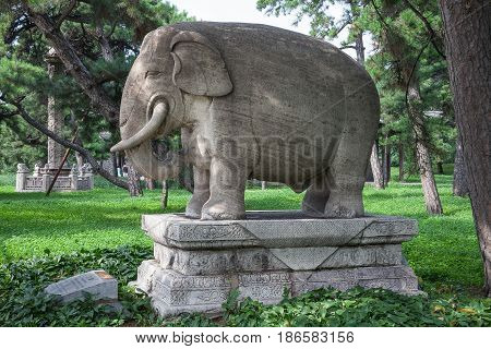 Shenyang China - July 20, 2013: Sculpture of elephant in Beiling Park, not far from Zhaoling Tomb of the Qing Dynasty