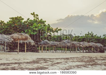 Group row of many thatch attap straw umbrellas covers standing on sea ocean beach at sunset toned with filters in retro vintage film style summer vacation landscape