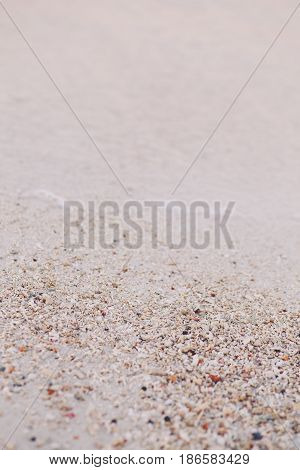 Closeup macro shot of small colorful red yellow white seashells on sand beach by water sunset or sunrise toned with retro vintage filters copyspace for text selective focus