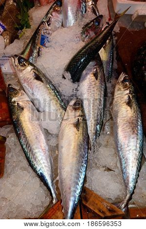 Fresh fish for sale on a market stall along an alleyway in the city centre Heraklion Crete Greece Europe.