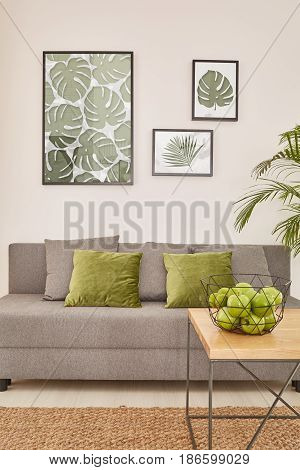 Modern Living Room With Sofa