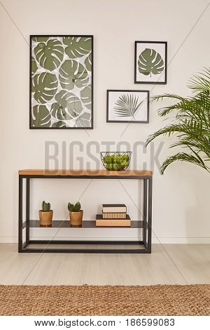 Minimalist Desk With Succulents