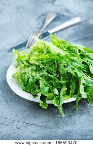 Rucola