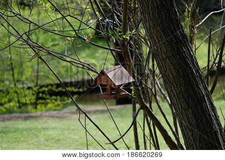 A small birdhouse on a tree - Tsaritsyno park - Moscow, Russia