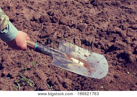 Old shovel in the hand of the worker against the background of the processed field / Heavy manual labor