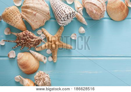 Sea vacation. Seashells frame on blue wood background with copy space on wooden planks, top view