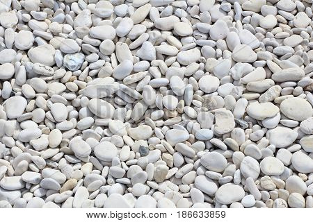White Pebbles