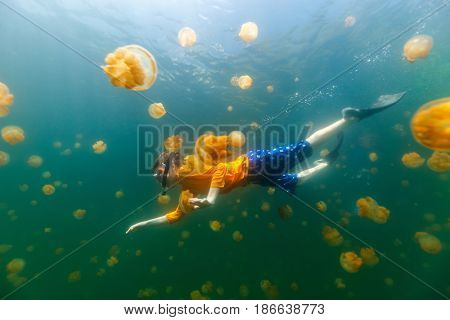 Underwater photo of child diving with endemic stingless jellyfish in lake at Palau. Snorkeling in Jellyfish Lake is a popular activity for tourists to Palau.