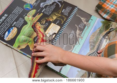 ZHONGSHAN CHINA-May 14:kid checking a Giganotosaurus toy against a book with details of the same dinosaur on May 14 2017.