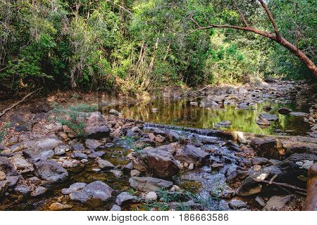 Small mountain stream in the shade of the tropical forest with snag tree in the foreground Mu Koh Chang National Park, Thailand. View from the trail to the Khlong Phlu waterfall. Natural background.