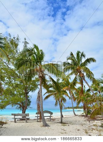 Paradise beach on Eleuthera island Bahamas. Palm trees