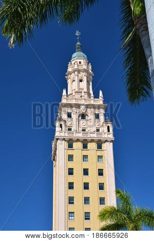 Freedom tower in Miami, palm trees and blue sky