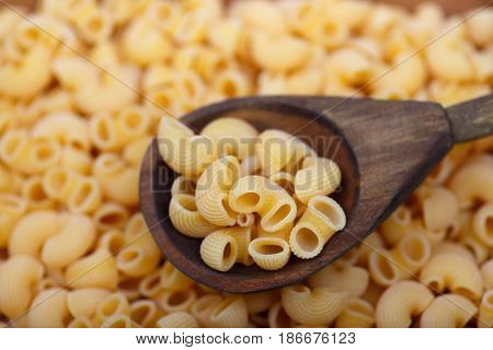 Chifferi Pasta In Wooden Spoon
