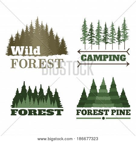 Tree outdoor travel green silhouette forest logo coniferous natural badge tops pine spruce branch cedar and plant leaf abstract stem drawing vector illustration. Panorama scene horizon decoration.